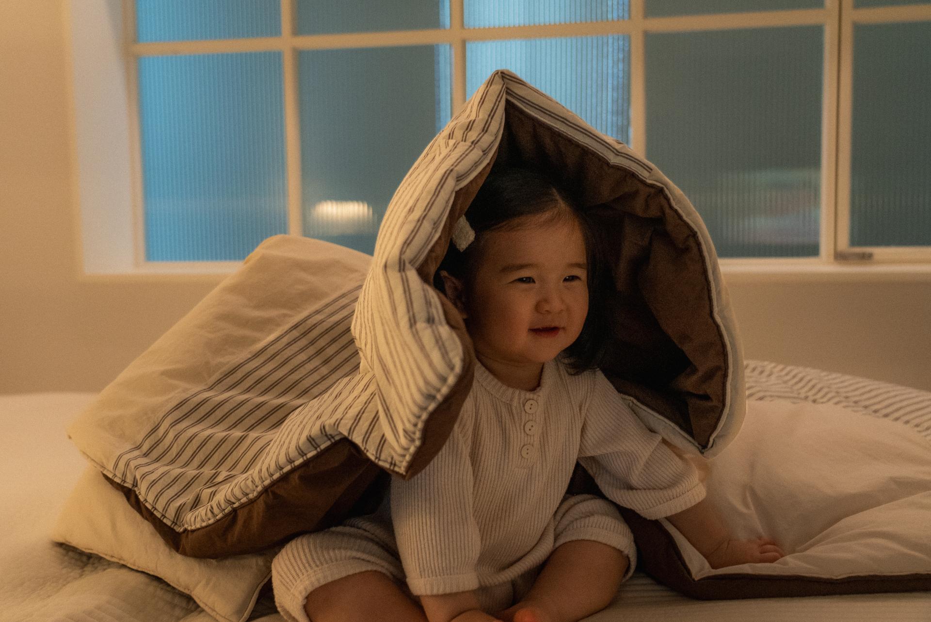 단다 밤밤 컴포터 | dánda bambam comforter