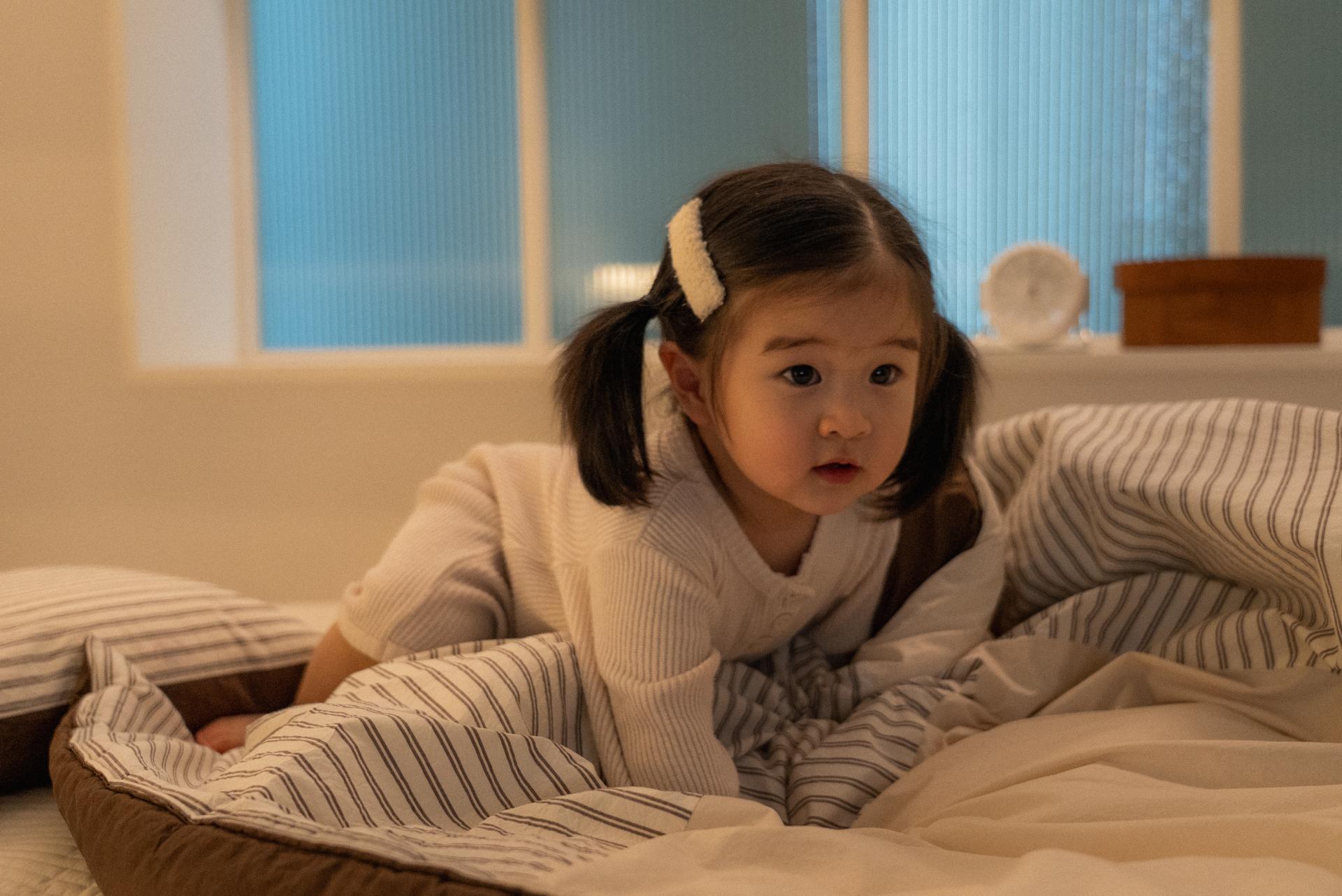 단다 밤밤 컴포터 | dánda bambam comforter