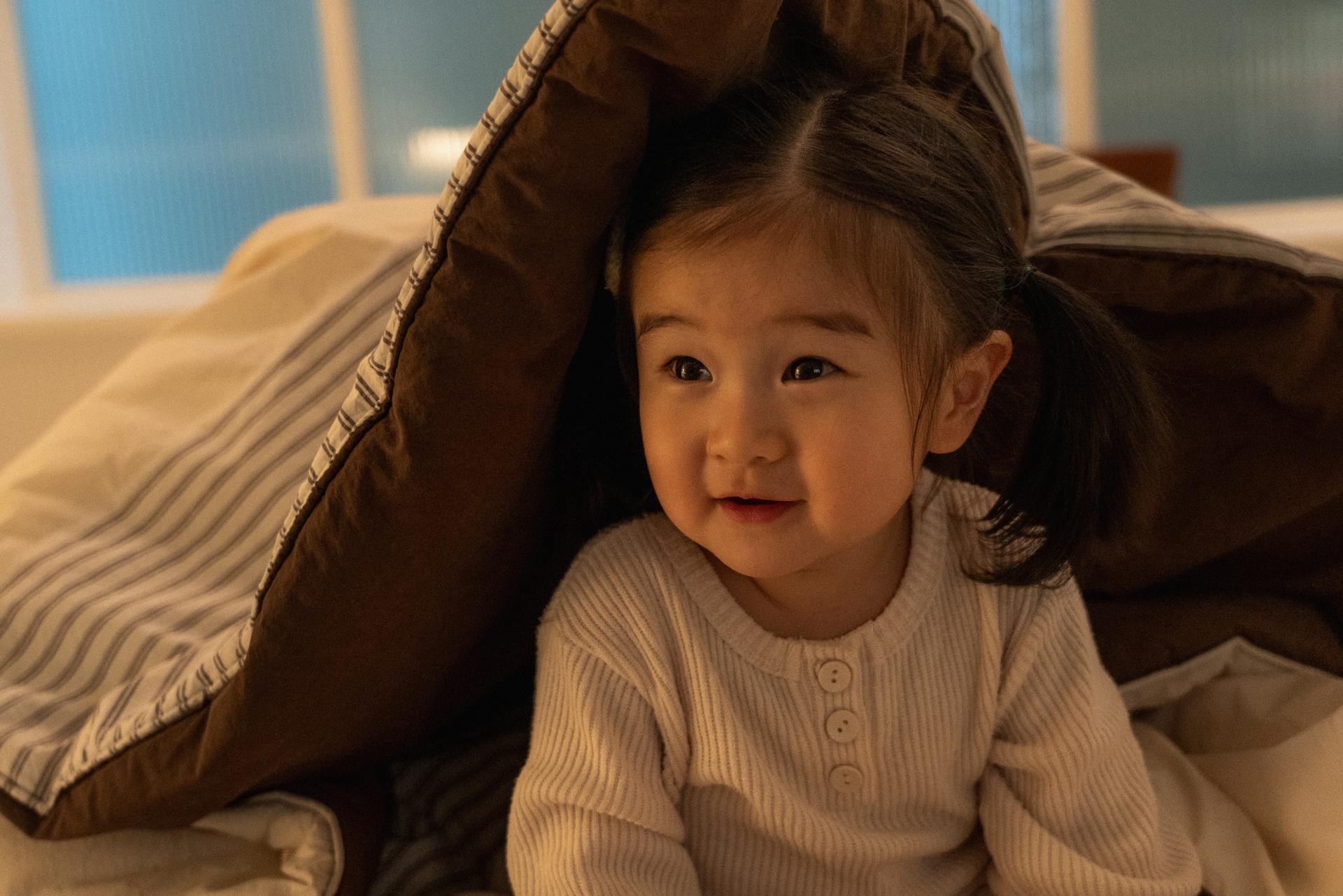 단다 밤밤 컴포터 | dánda bambam comforter